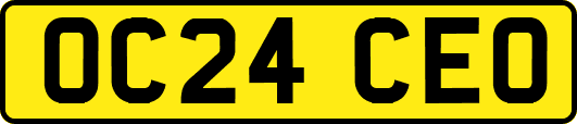 OC24CEO