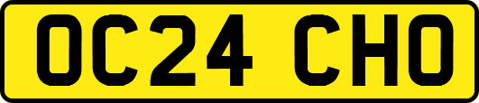 OC24CHO