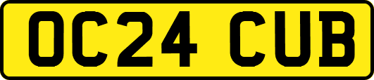 OC24CUB