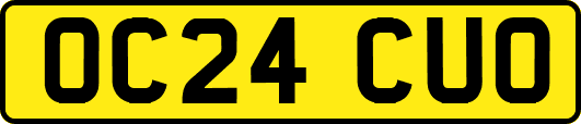 OC24CUO