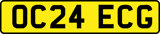 OC24ECG