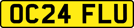 OC24FLU