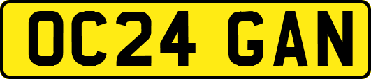 OC24GAN