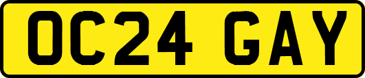 OC24GAY