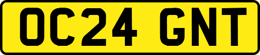 OC24GNT