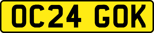 OC24GOK