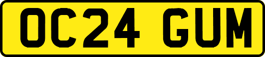 OC24GUM