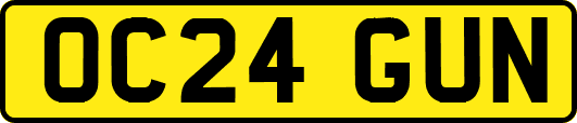 OC24GUN