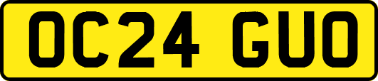 OC24GUO