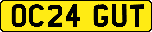 OC24GUT