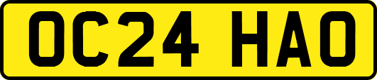 OC24HAO