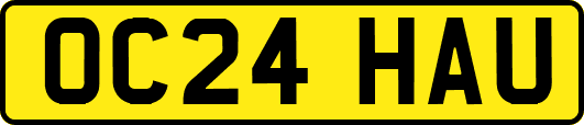 OC24HAU