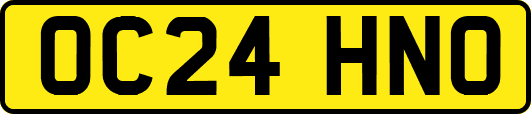 OC24HNO