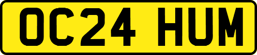 OC24HUM
