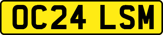 OC24LSM