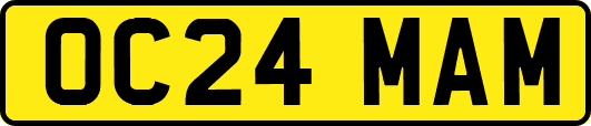 OC24MAM