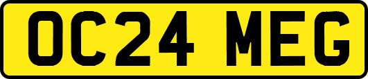 OC24MEG