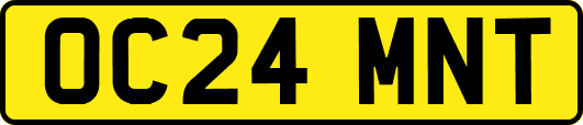 OC24MNT