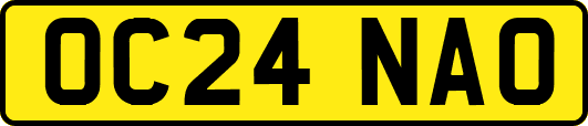 OC24NAO