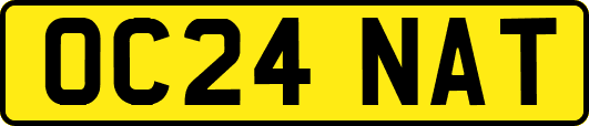 OC24NAT