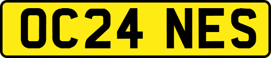 OC24NES