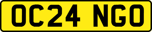 OC24NGO