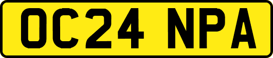 OC24NPA