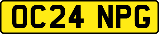 OC24NPG