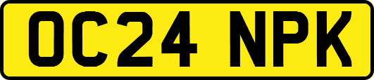 OC24NPK