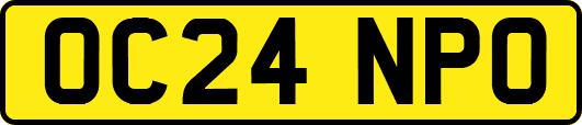 OC24NPO