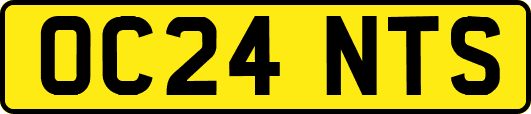 OC24NTS