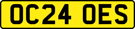 OC24OES