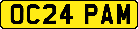 OC24PAM