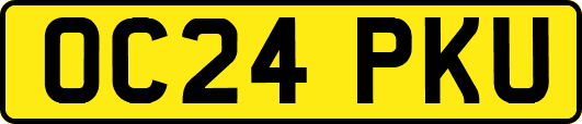 OC24PKU