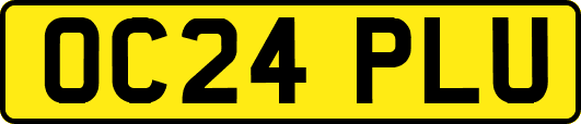OC24PLU