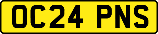 OC24PNS