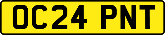 OC24PNT