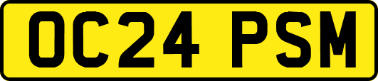 OC24PSM