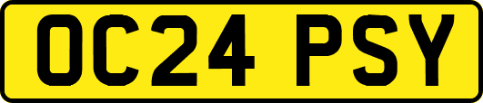 OC24PSY