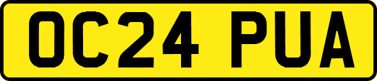 OC24PUA