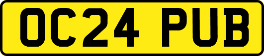 OC24PUB