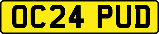 OC24PUD