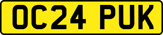 OC24PUK