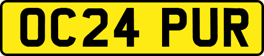 OC24PUR