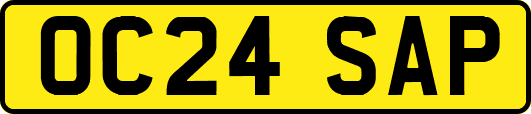 OC24SAP