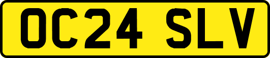 OC24SLV