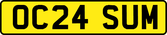 OC24SUM