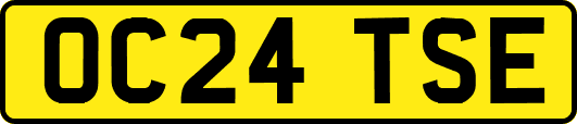 OC24TSE