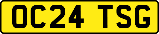 OC24TSG
