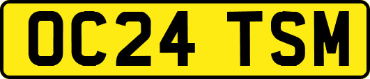 OC24TSM